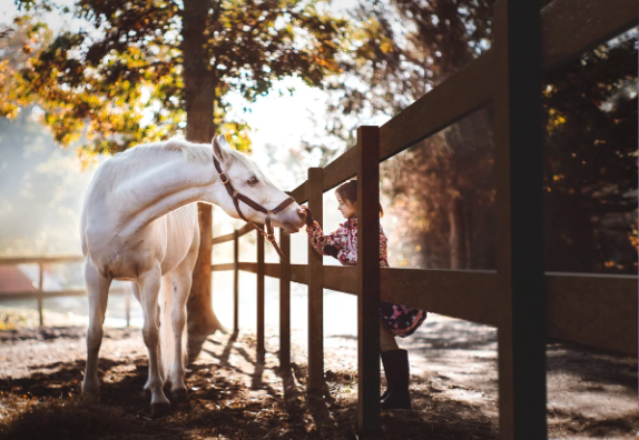 SELECTION EQUESTRE - 100% Plastique Recyclé